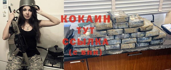СК Каменногорск