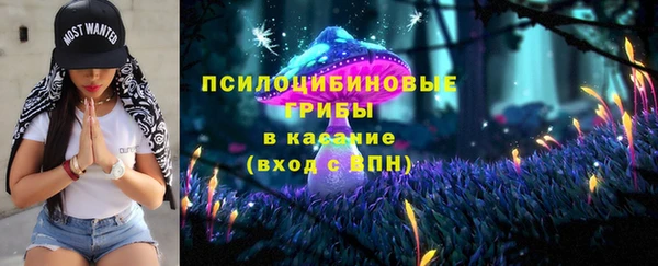 стаф Абинск