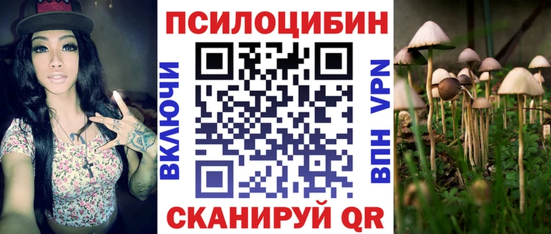 Псилоцибиновые грибы прущие грибы  Чегем 